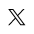 x-icon