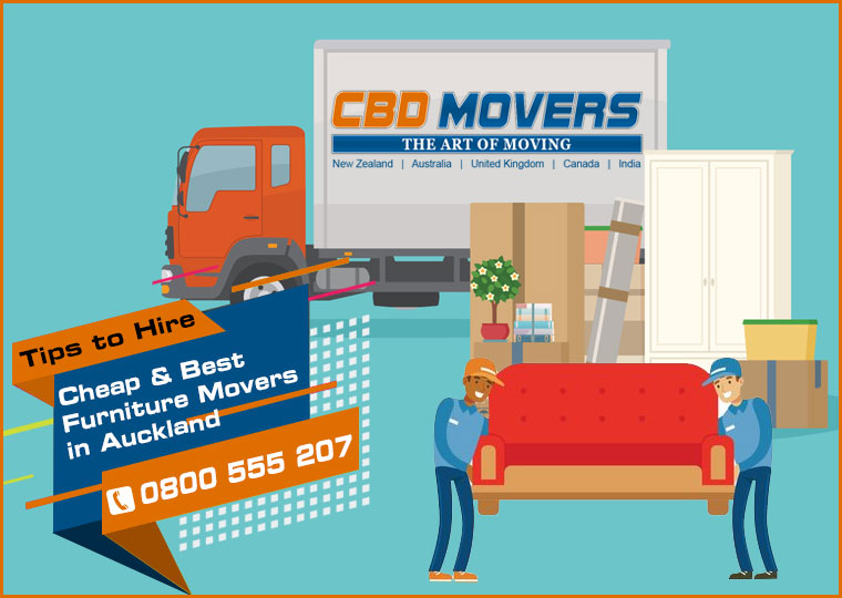 Furniture Movers in Auckland