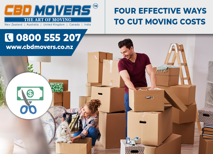 Movers-Auckland